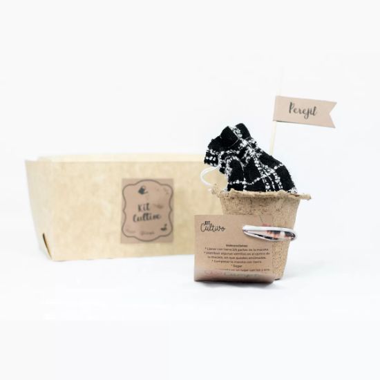 Imagen de Kit cultivo en caja personalizado
