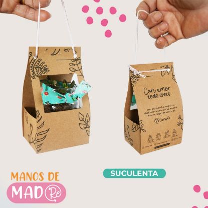 Imagen de Suculentas frasco de vidrio packaging